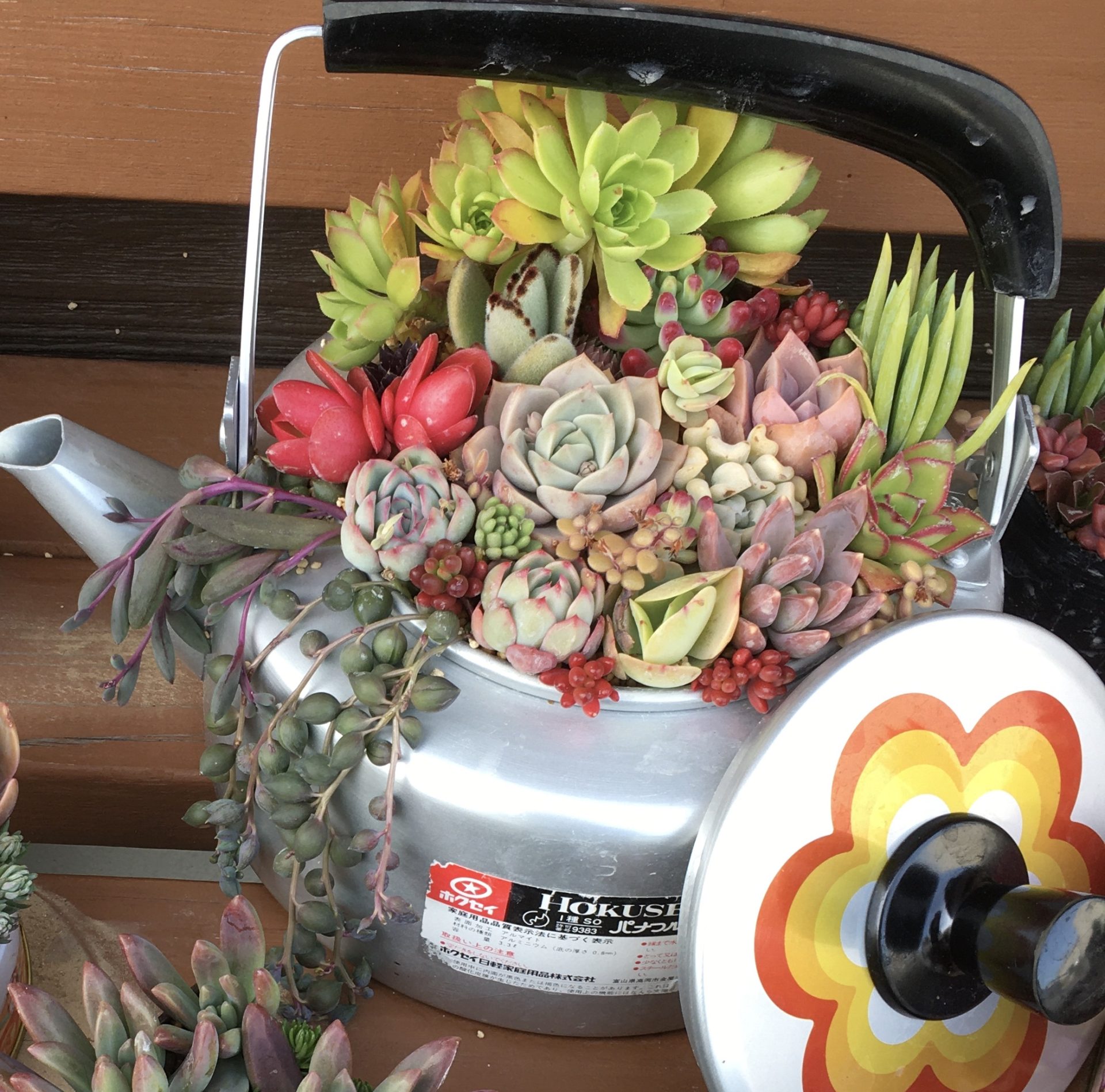 寄せ植えフォトコンテスト2022年秋【タイム賞🌼】