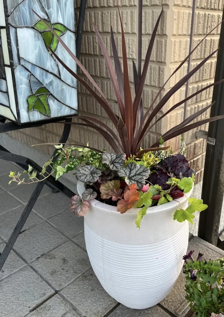 寄せ植えフォトコンテスト2022年秋【タイム賞🌼】