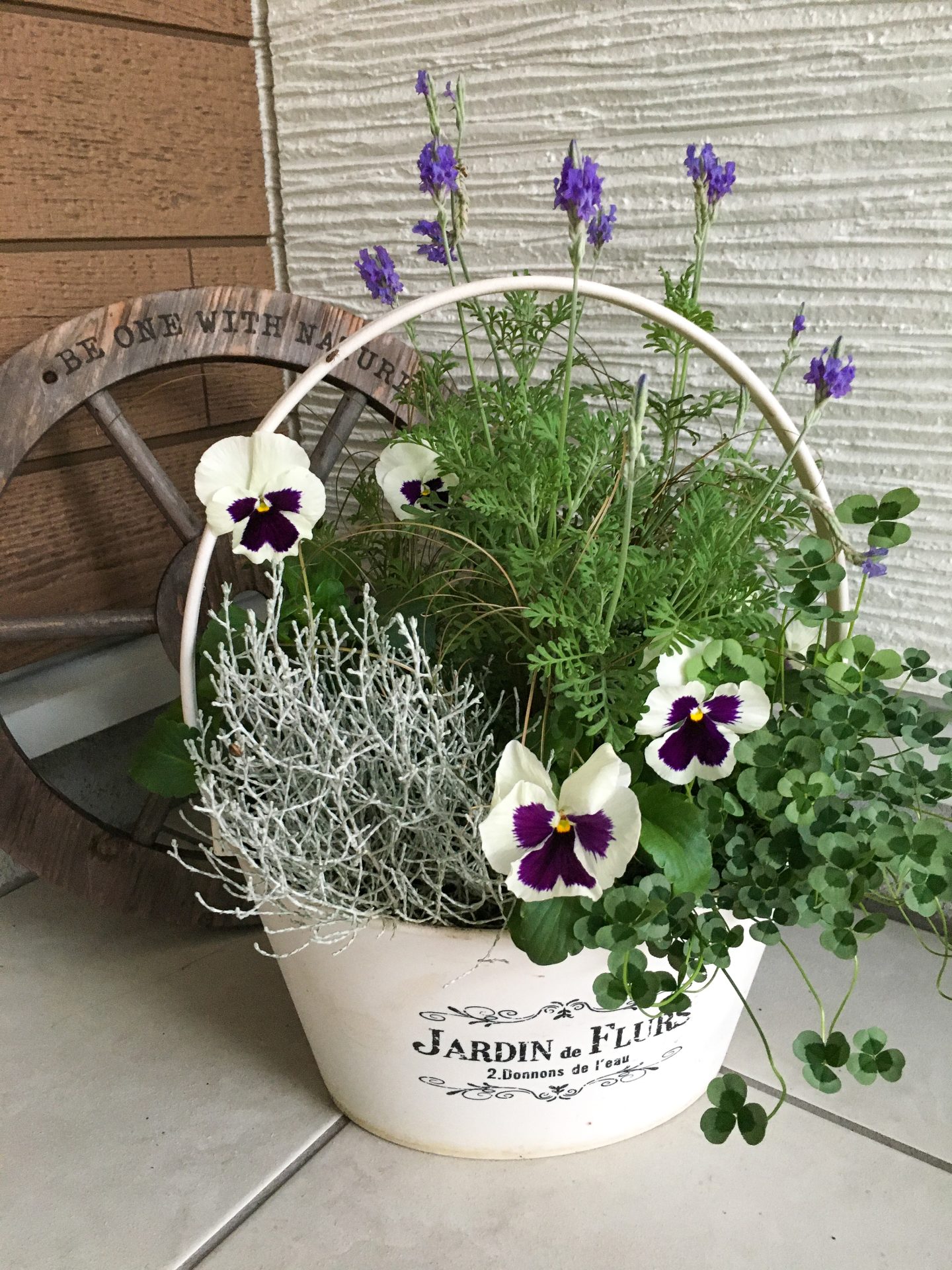寄せ植えフォトコンテスト2022年秋【タイム賞🌼】