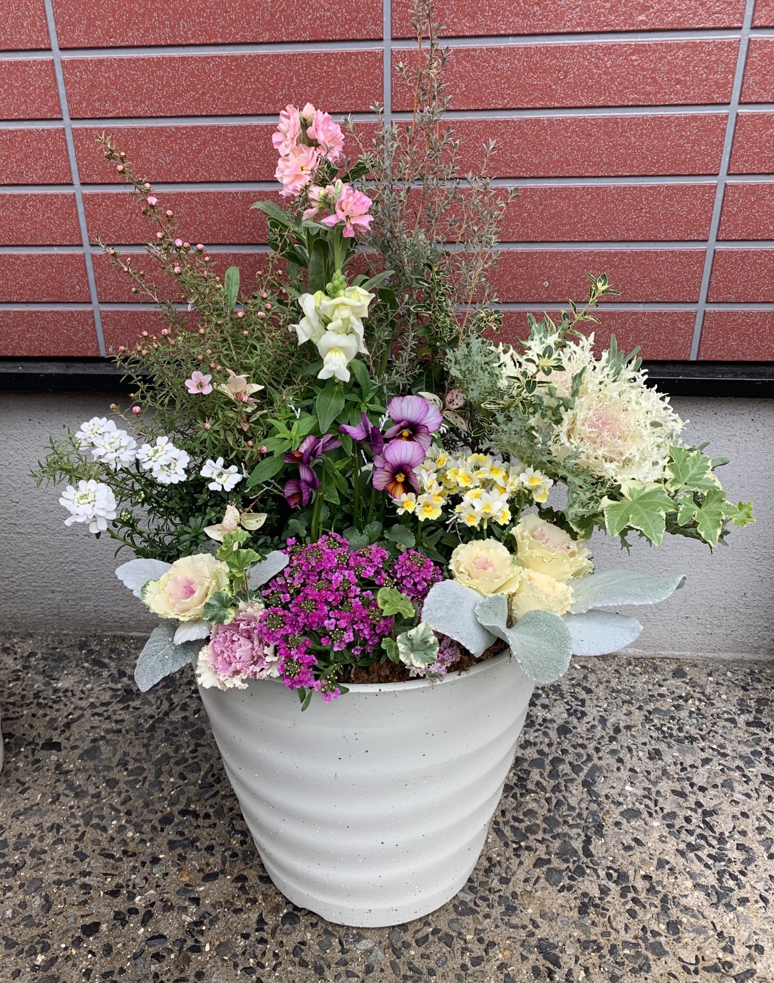 寄せ植えフォトコンテスト2022年秋【タイム賞🌼】