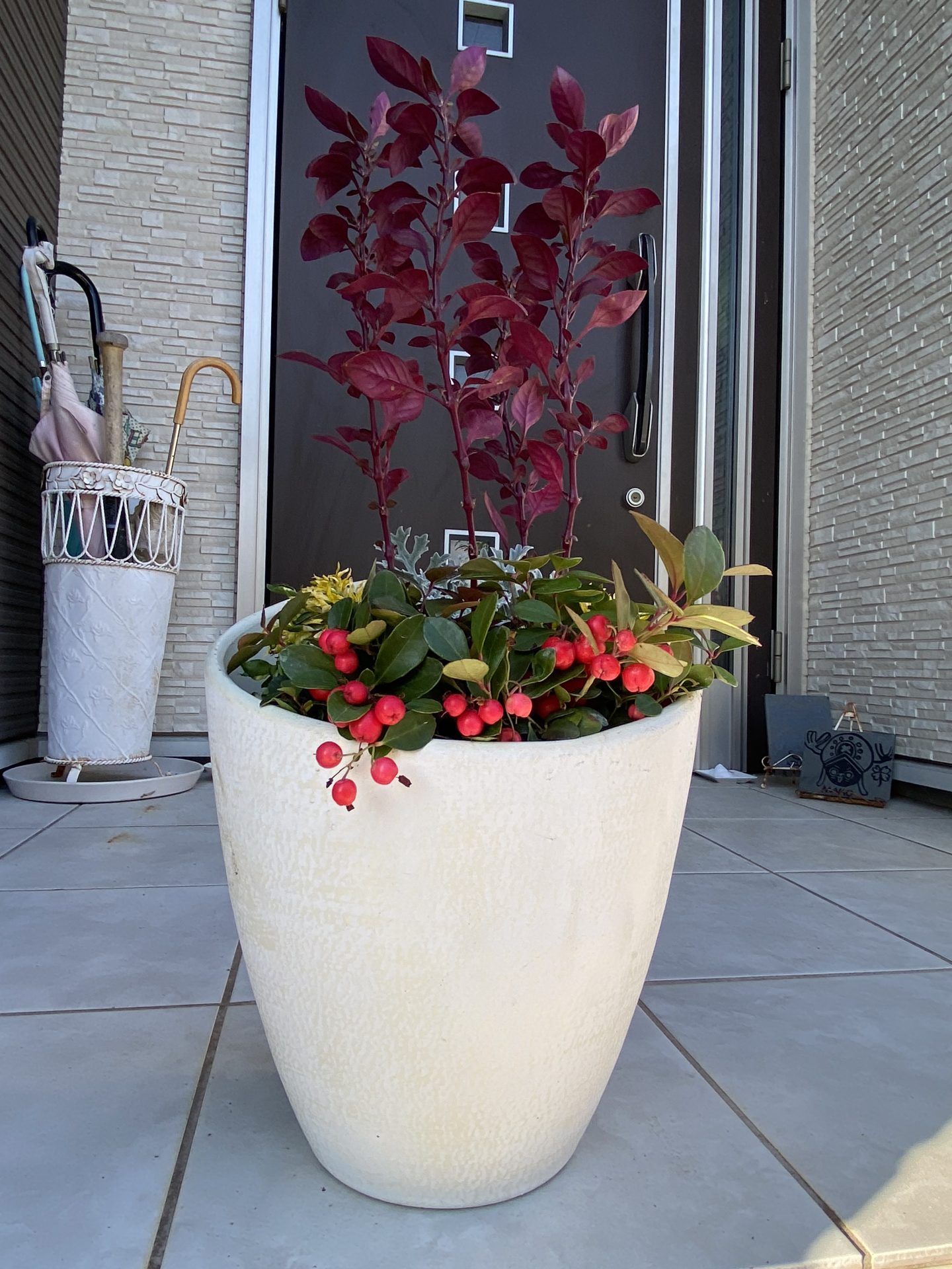 寄せ植えフォトコンテスト2022年秋【タイム賞🌼】