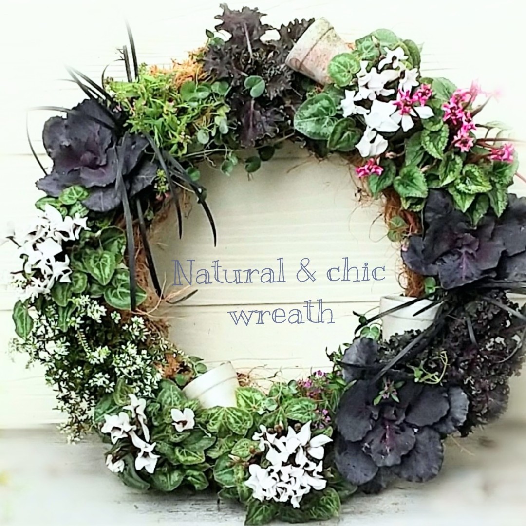 寄せ植えフォトコンテスト2022年秋【タイム賞🌼】