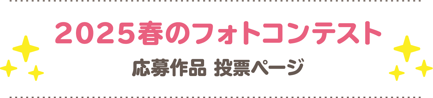 フォトコンテスト応募作品投票ページ