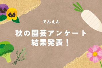 2025秋のアンケート