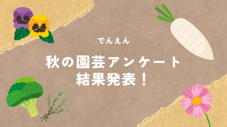 2025秋のアンケート