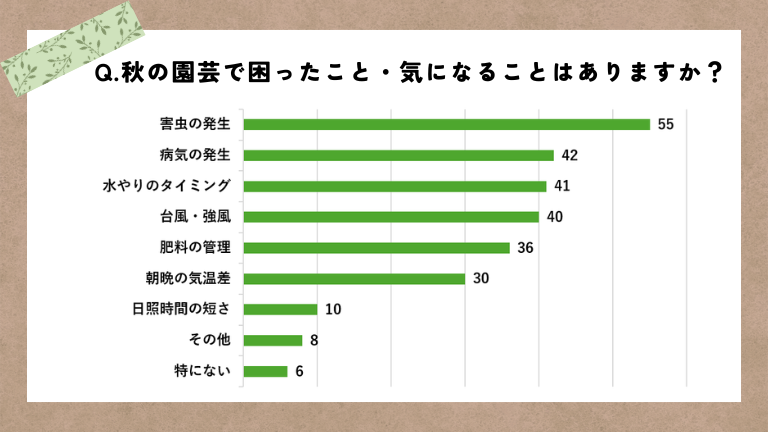 アンケート結果