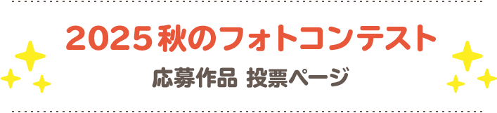 フォトコンテスト応募作品投票ページ