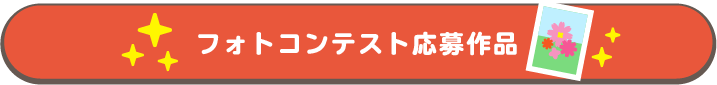 フォトコンテスト応募フォームリンク
